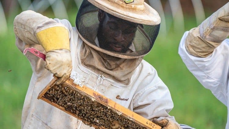 Nectar2Honey Solutions in Ghana